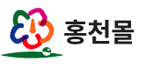 홍천몰 로고